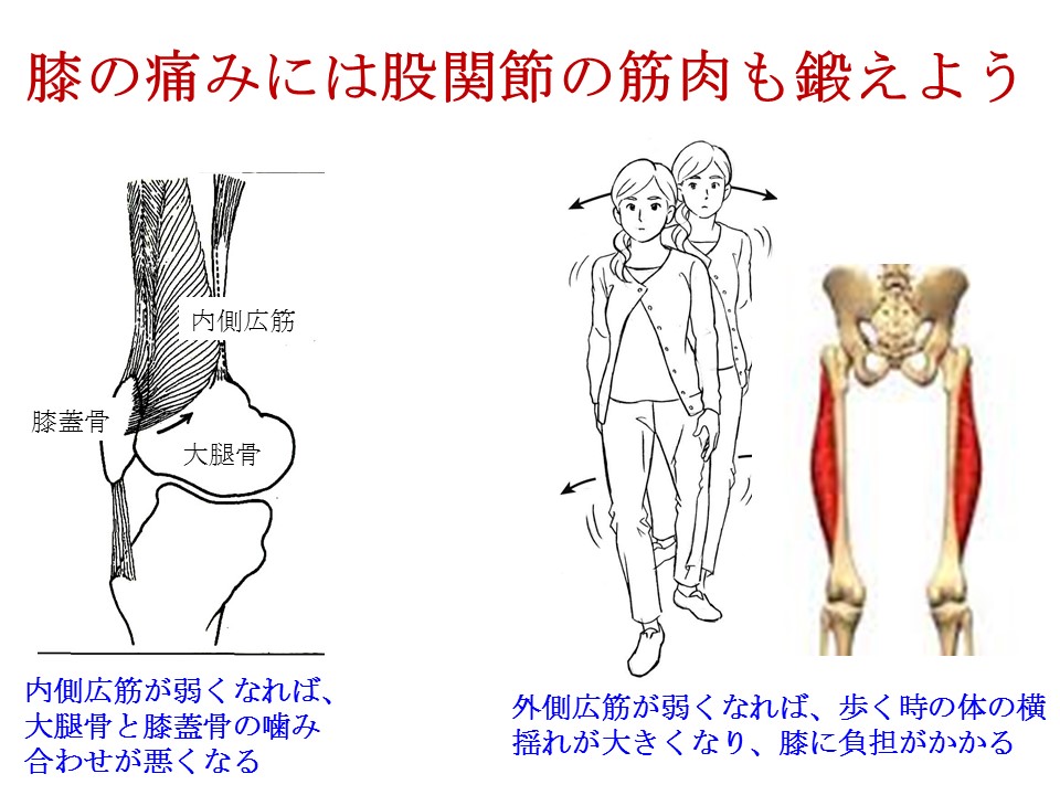 股関節の筋トレがひざにかかる負担を減らす