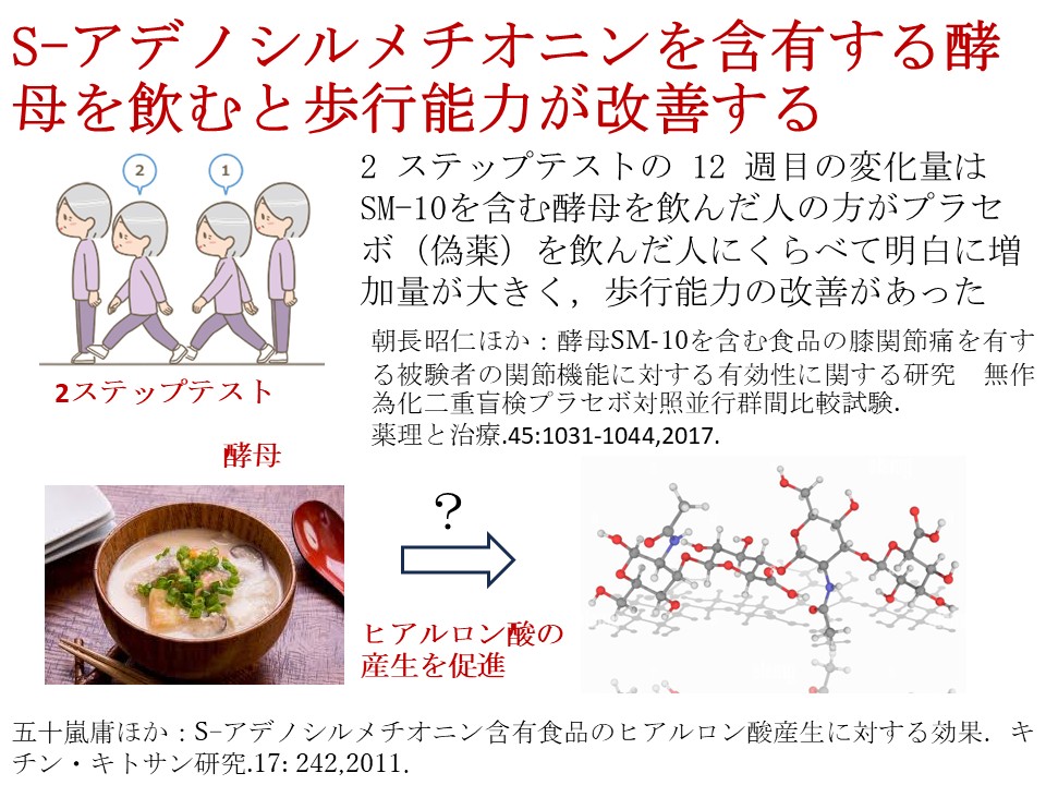 酒粕の酵母が歩行能力を高める可能性がある。