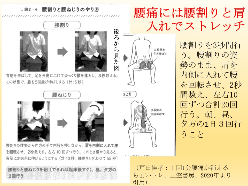 腰痛を起こしやすい人は腰割りと肩入れを1日３回行おう。