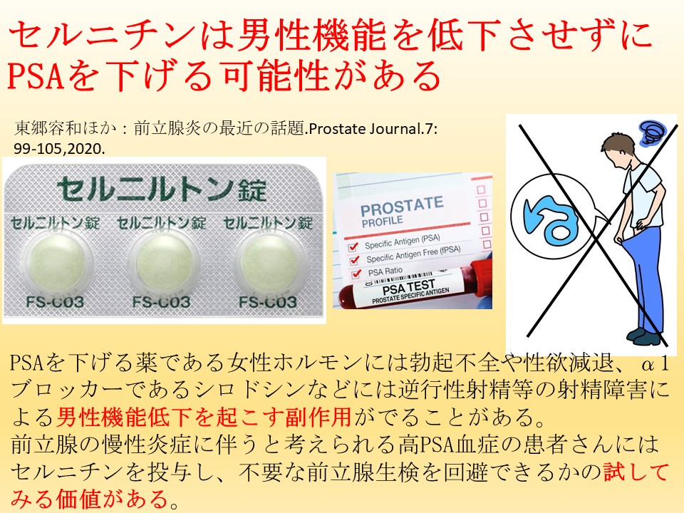 セルニチンは男性機能を低下させずにPSAを下げる可能性がある。