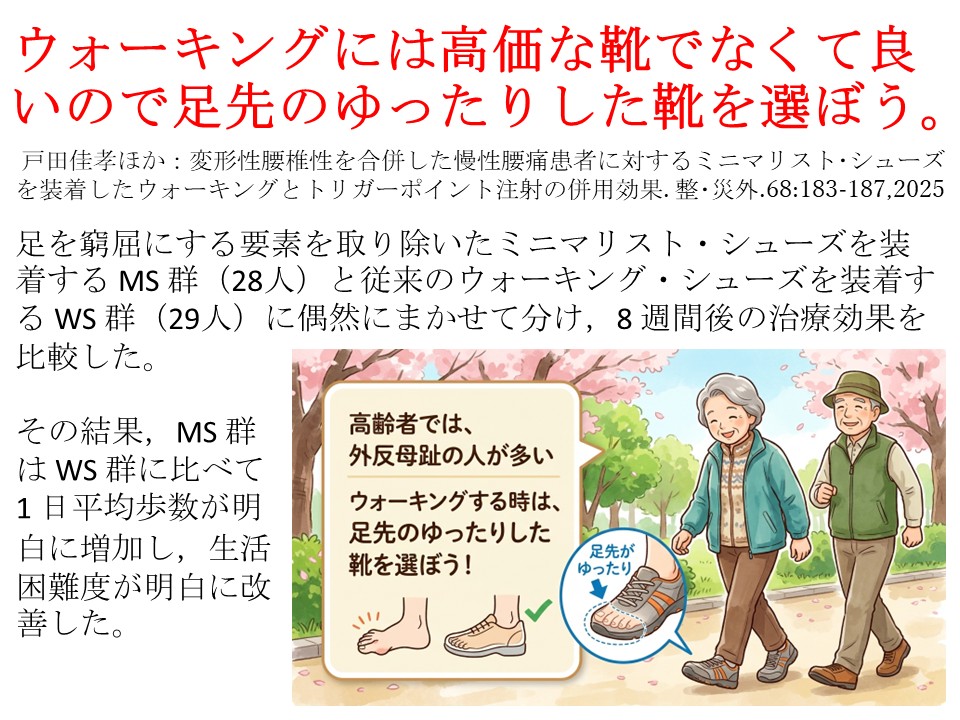 ウォーキングには高価な靴は必要ない、足先のゆったりした靴を選ぼう。