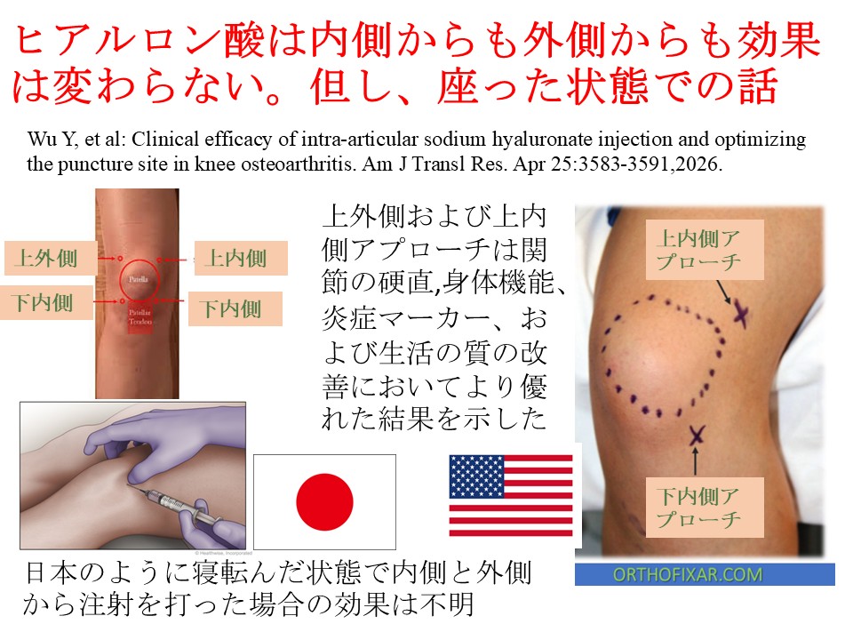 ヒアルロン酸は内側からも外側からも効果は変わらない。但し、座った状態での話。