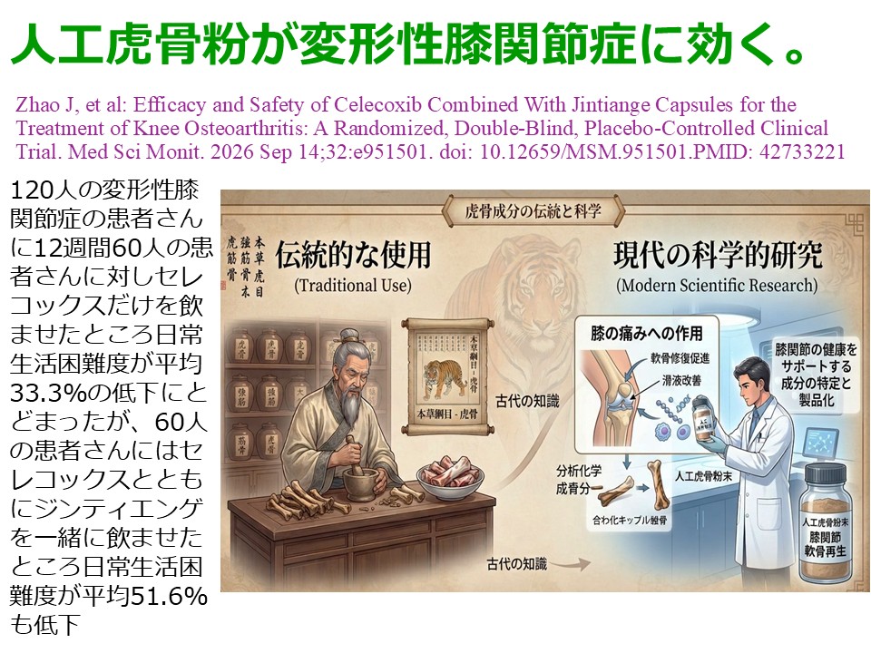 人工虎骨粉が変形性膝関節症に効く。